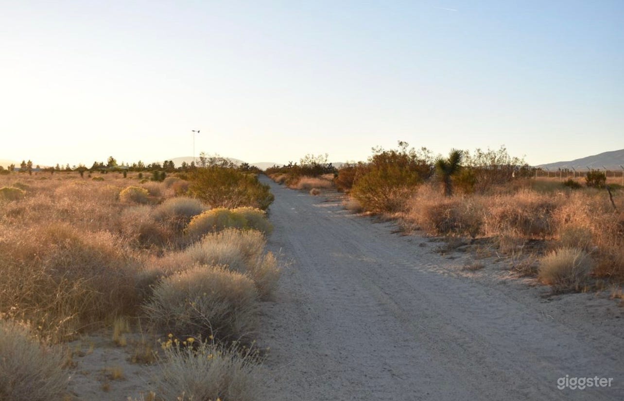 Clear access roads