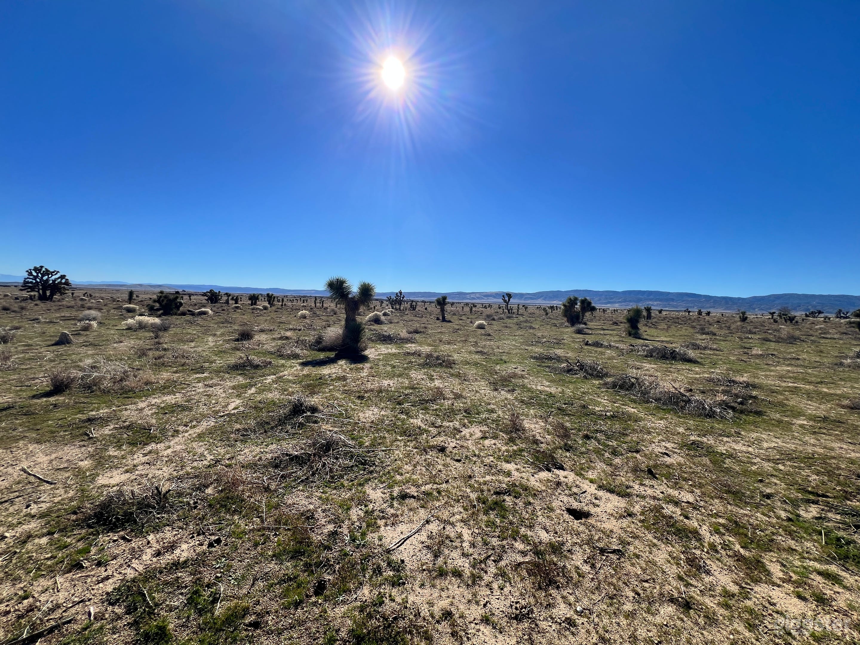 Open areas backdropped with breathtaking panoramic mountainous views and clear blue skies.