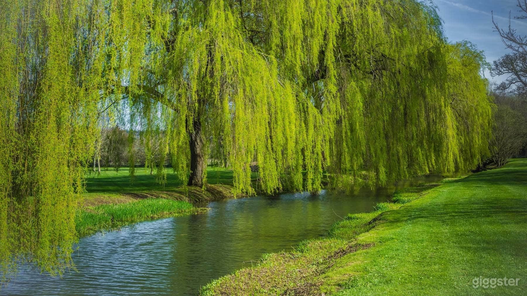 Grounds and Gardens Photo 4