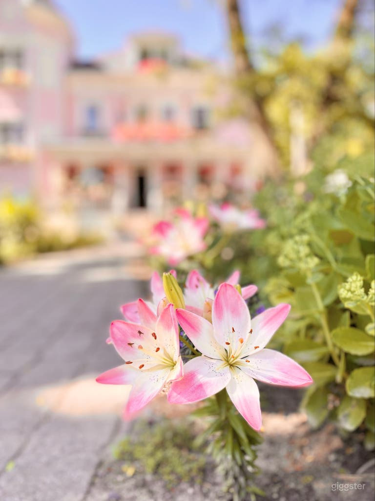  Maison Rose - A UNIQUE victorian pink mansion 
