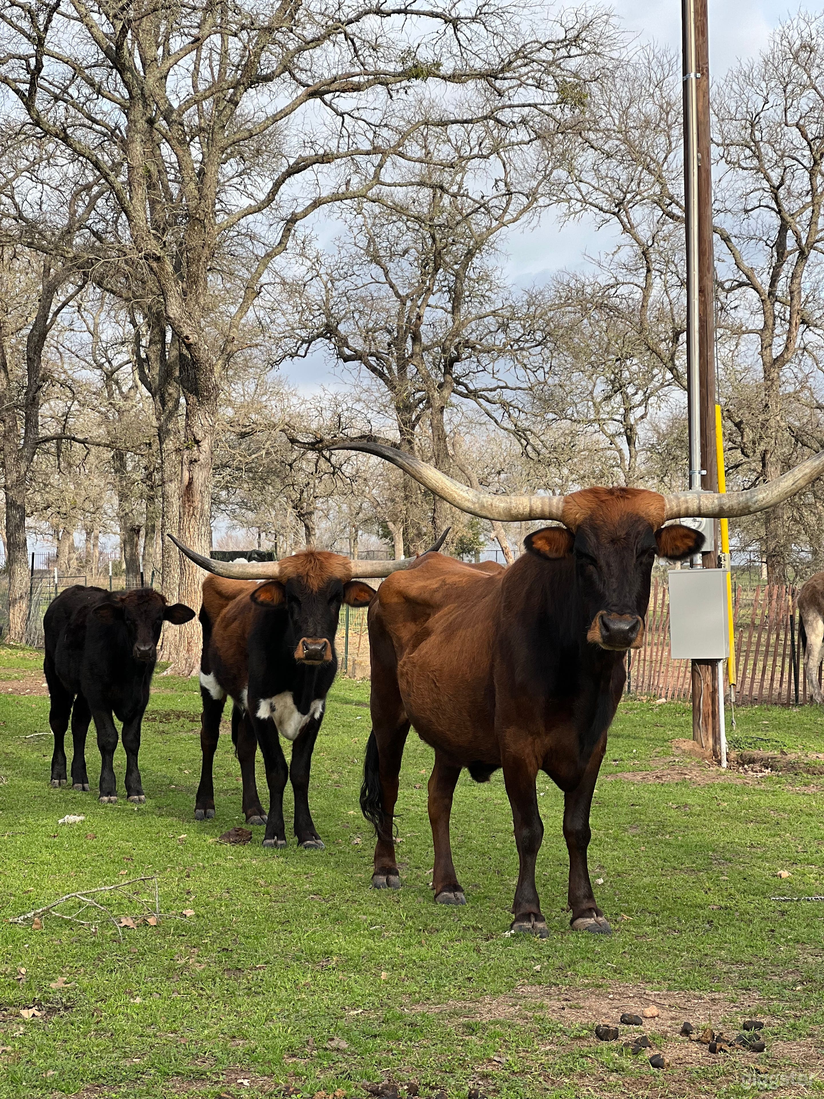 Tiny T Ranch in Garfield Photo 1