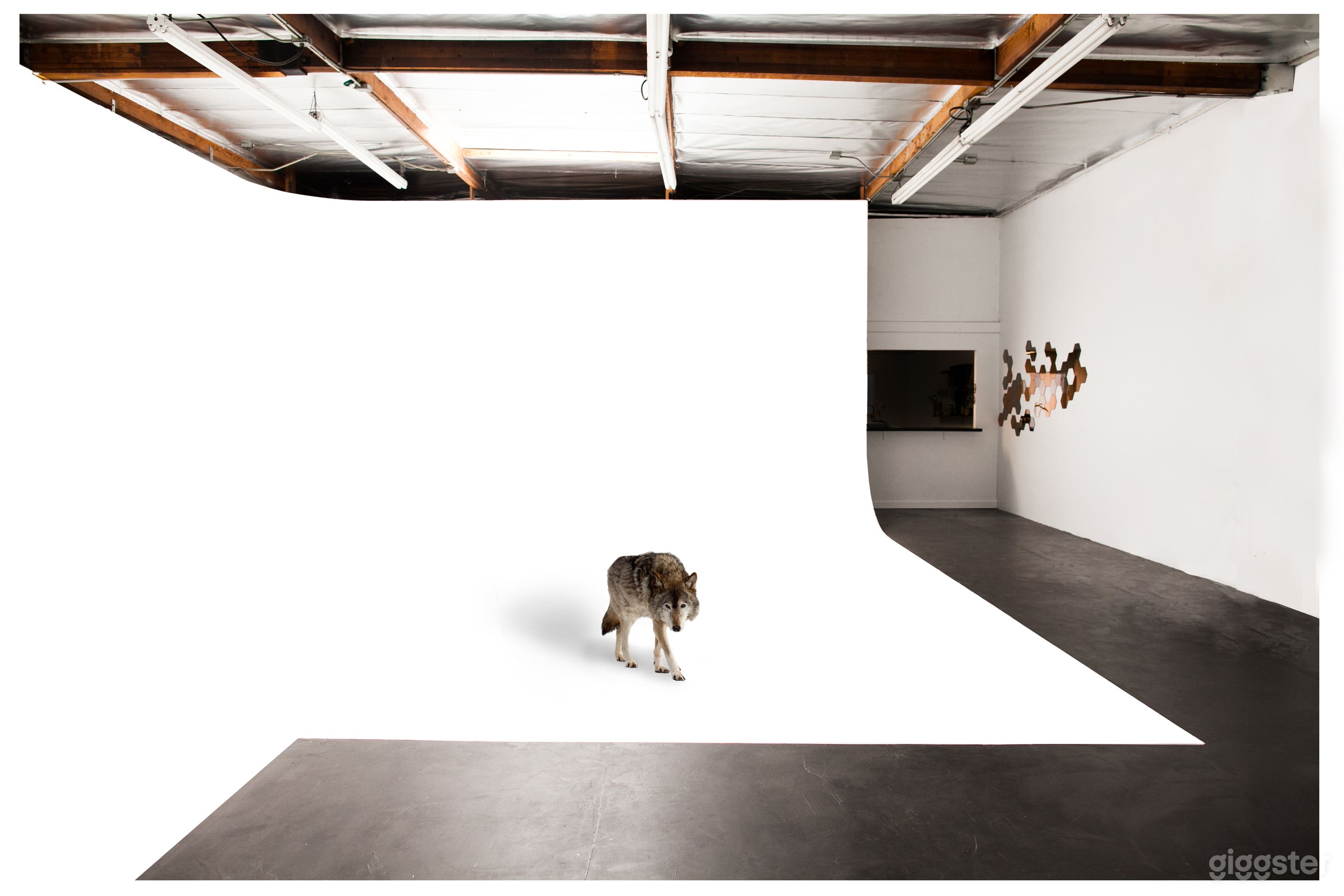 Boutique Photo Studio Photo 4