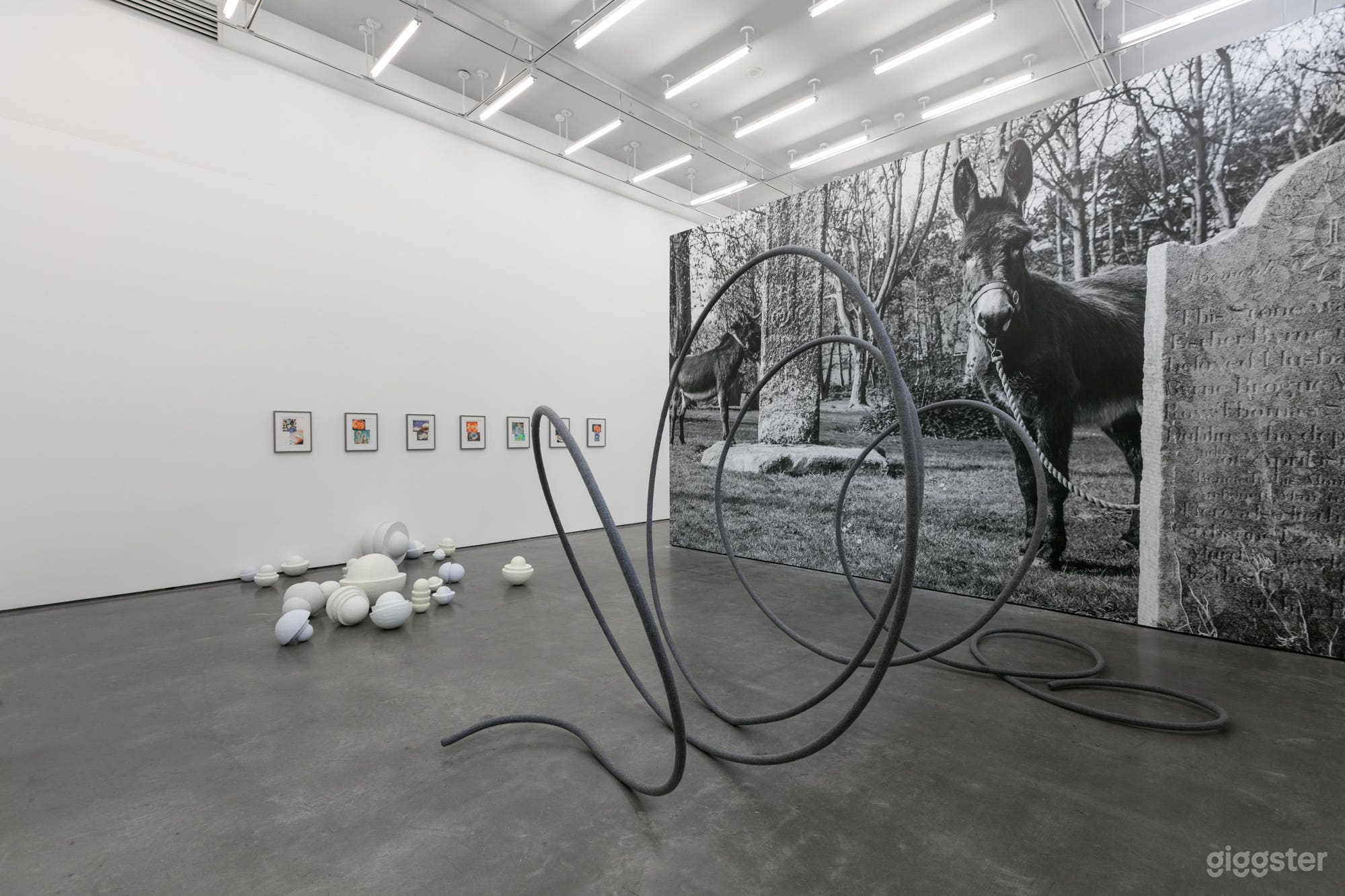 Spacious Contemporary Art Gallery Photo 4