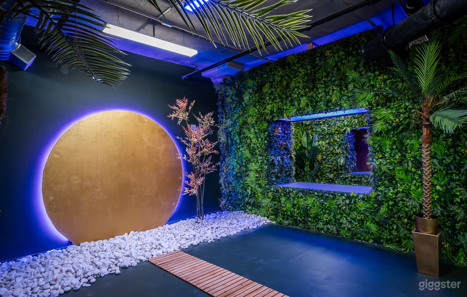 Tropical Neon Forest Photo 3