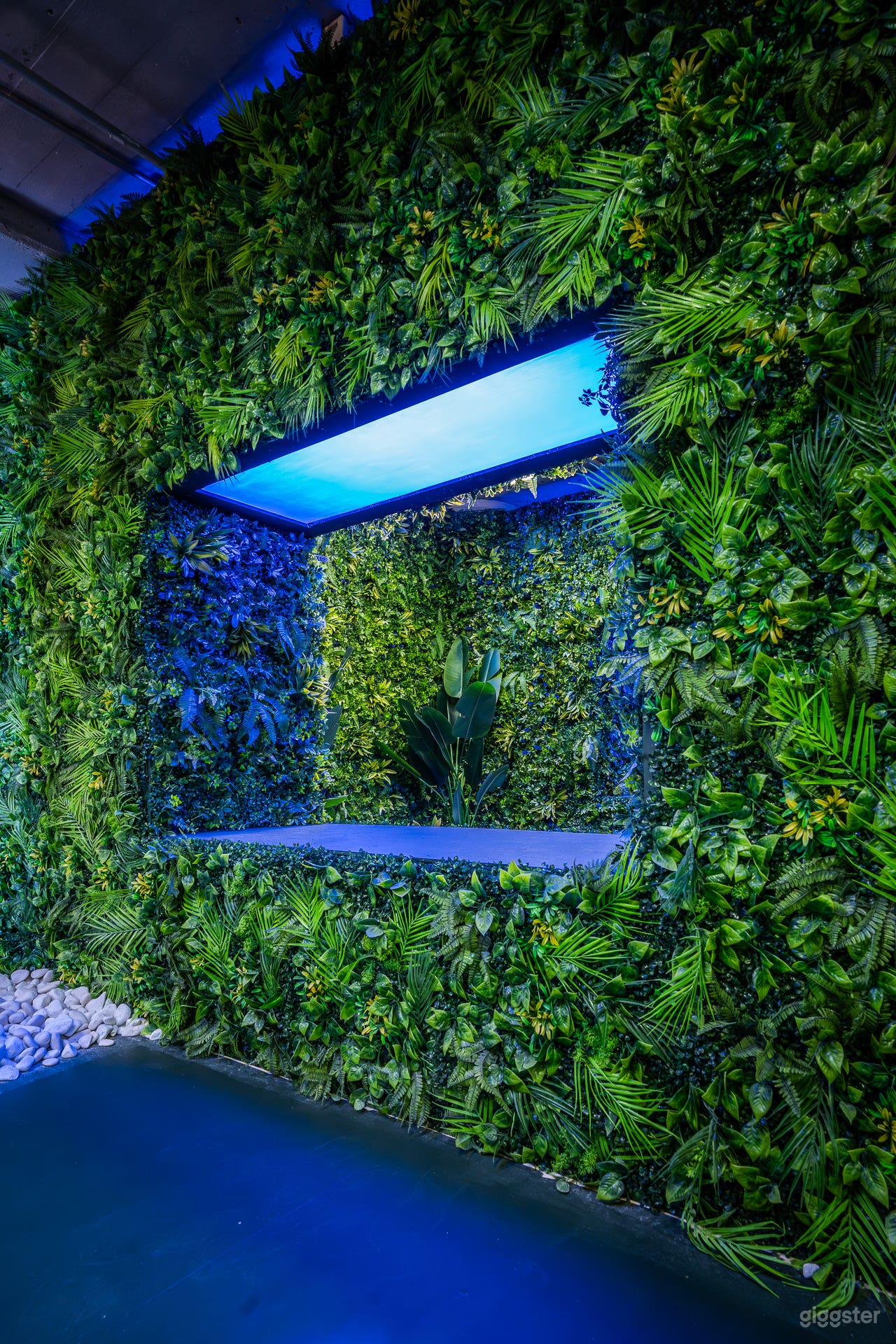 Tropical Neon Forest Photo 4