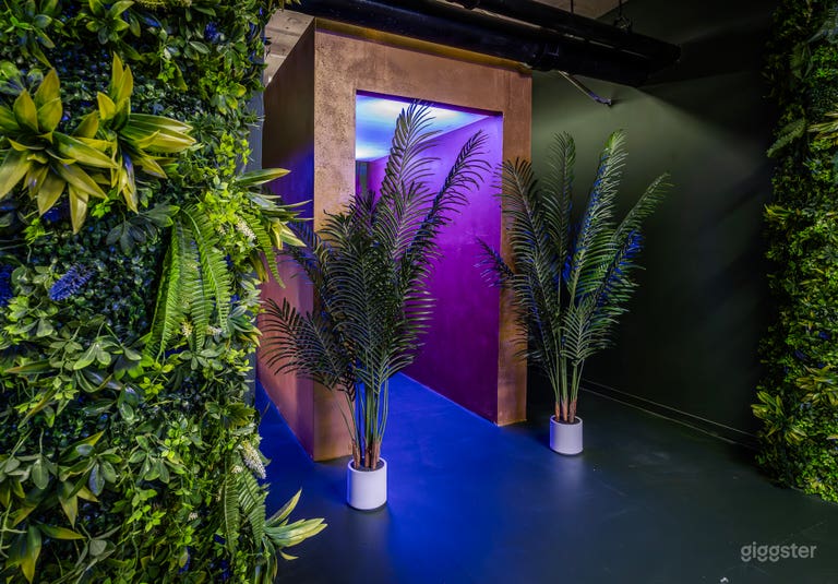  Tropical Neon Forest 