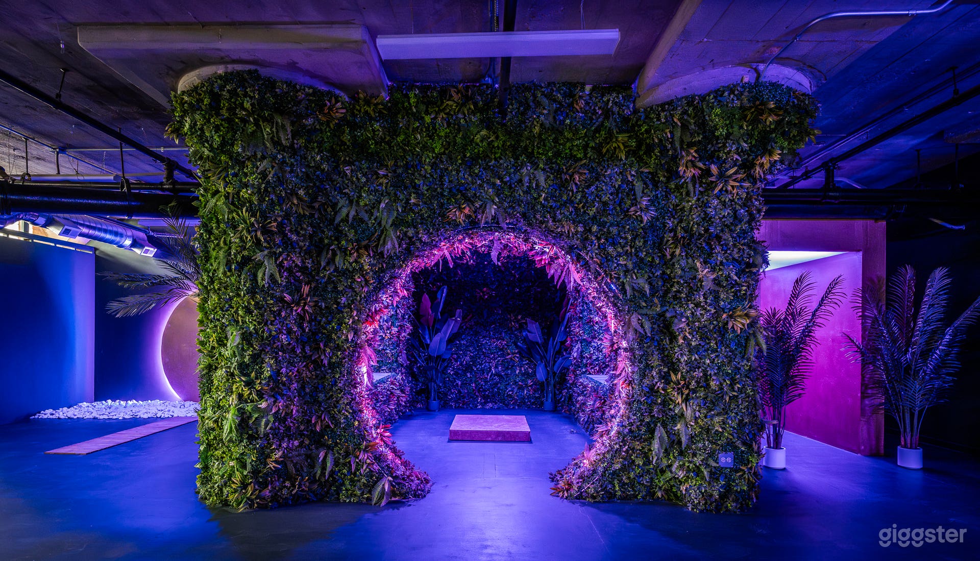 Tropical Neon Forest Photo 1