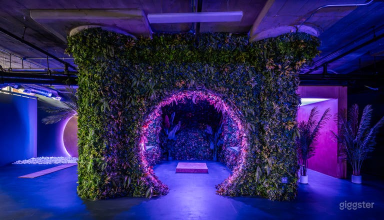  Tropical Neon Forest 