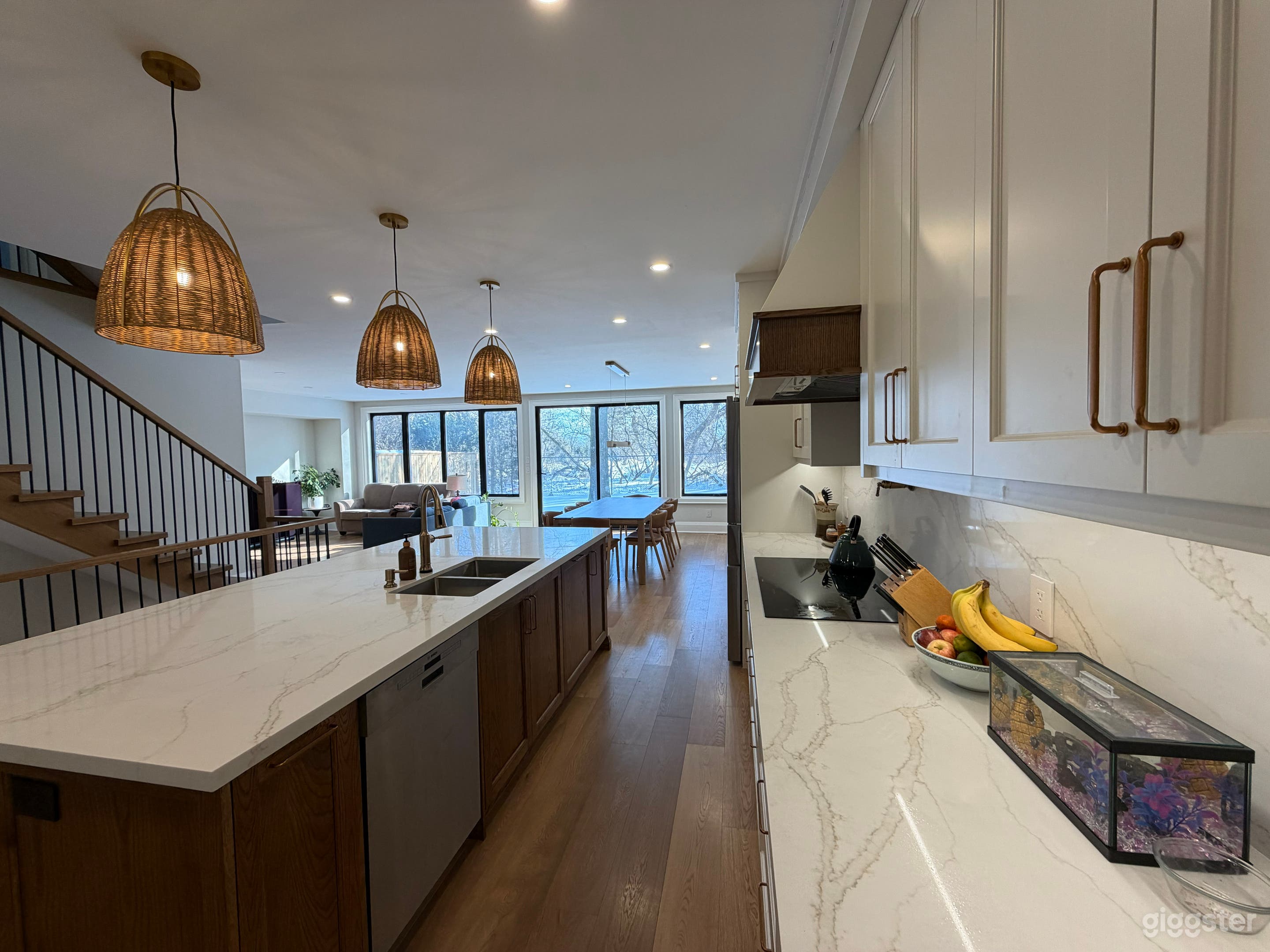 Bright, Brand New, Large Home With Multiple Looks Photo 2