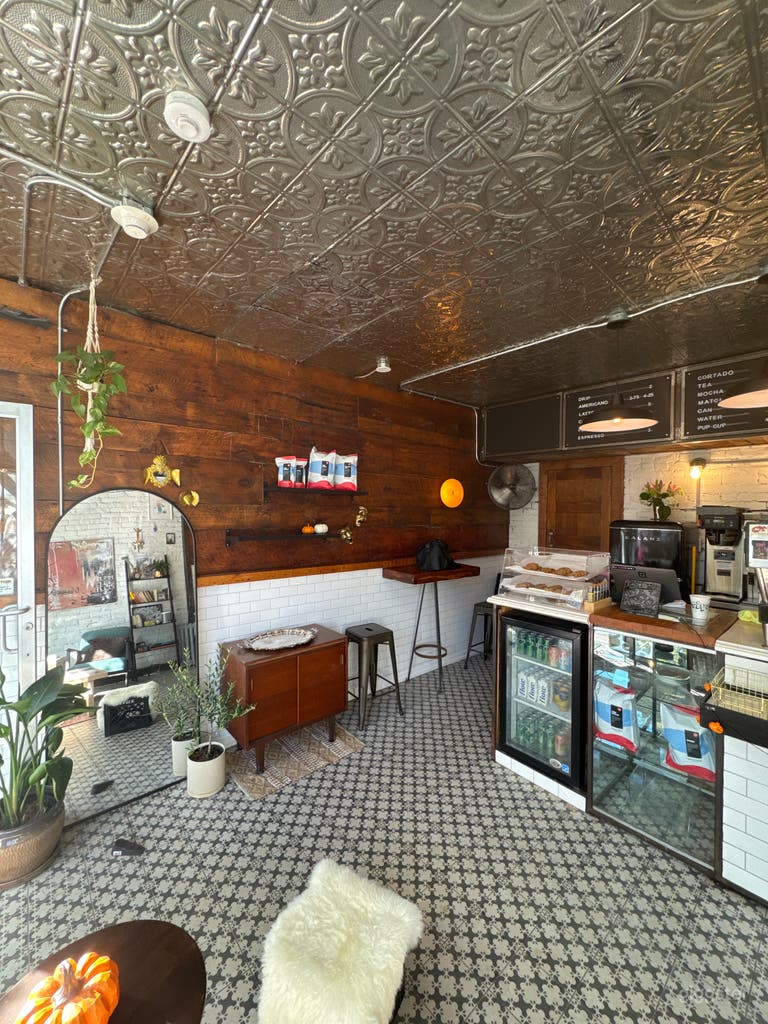  Warm, Cozy, Stylish Coffee Shop with Lots of Natural Light 