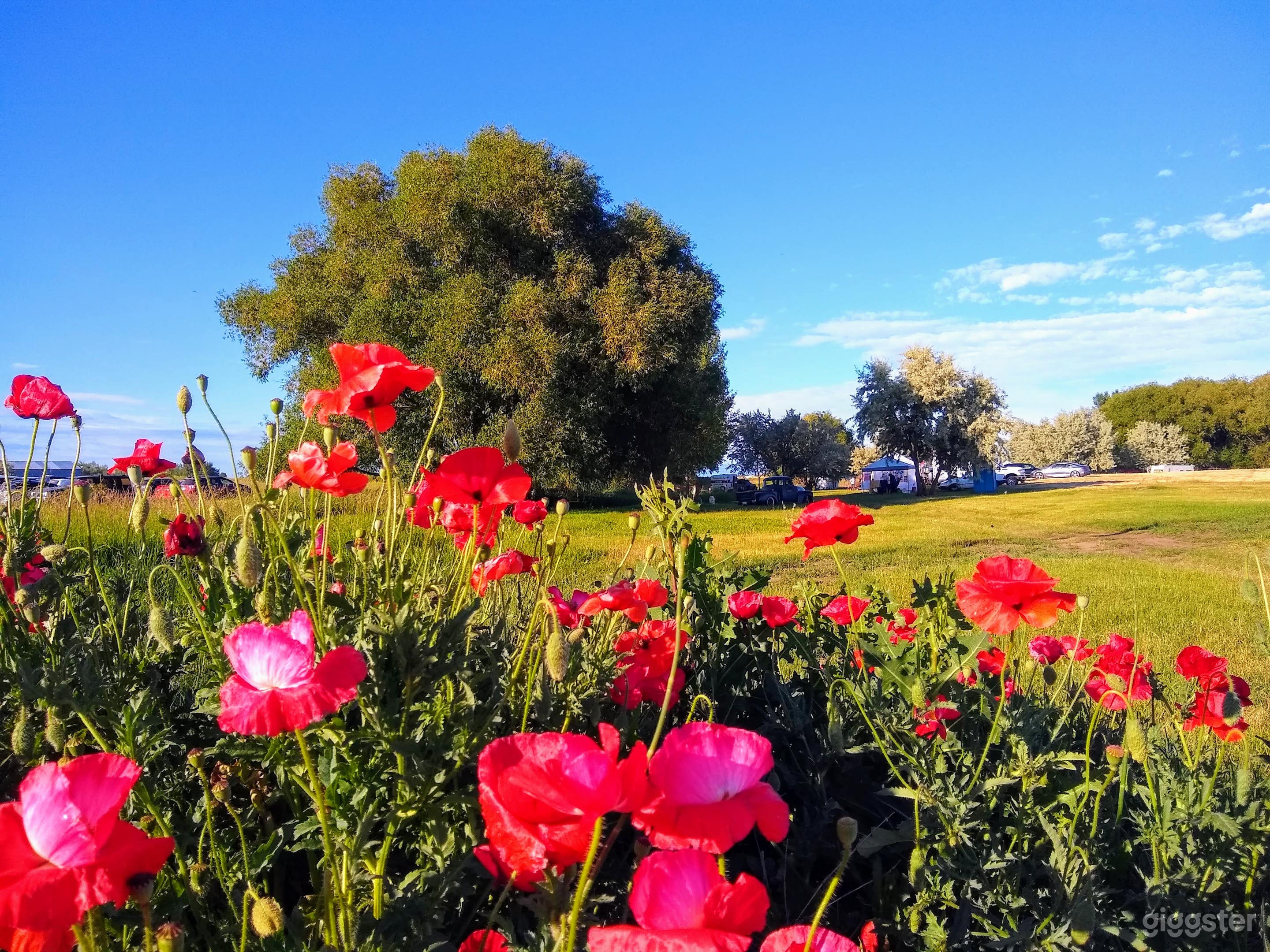 Willow Creek Retreat Photo 2