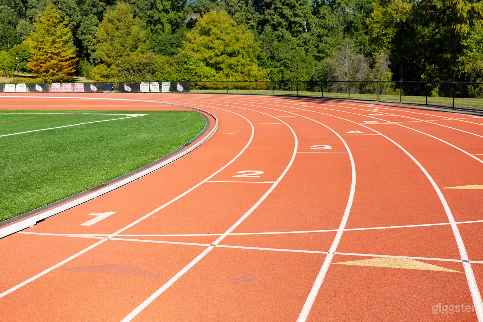 Track and Field Photo 3