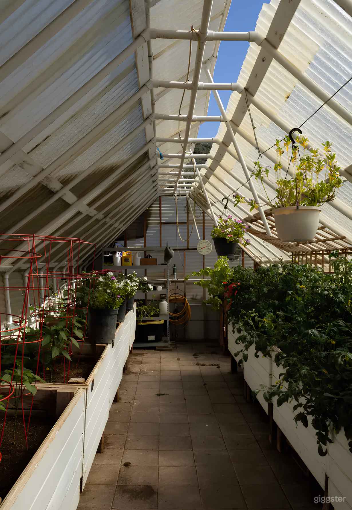 Gorgeous Green House on 28-Acre Property near Forest  Photo 3