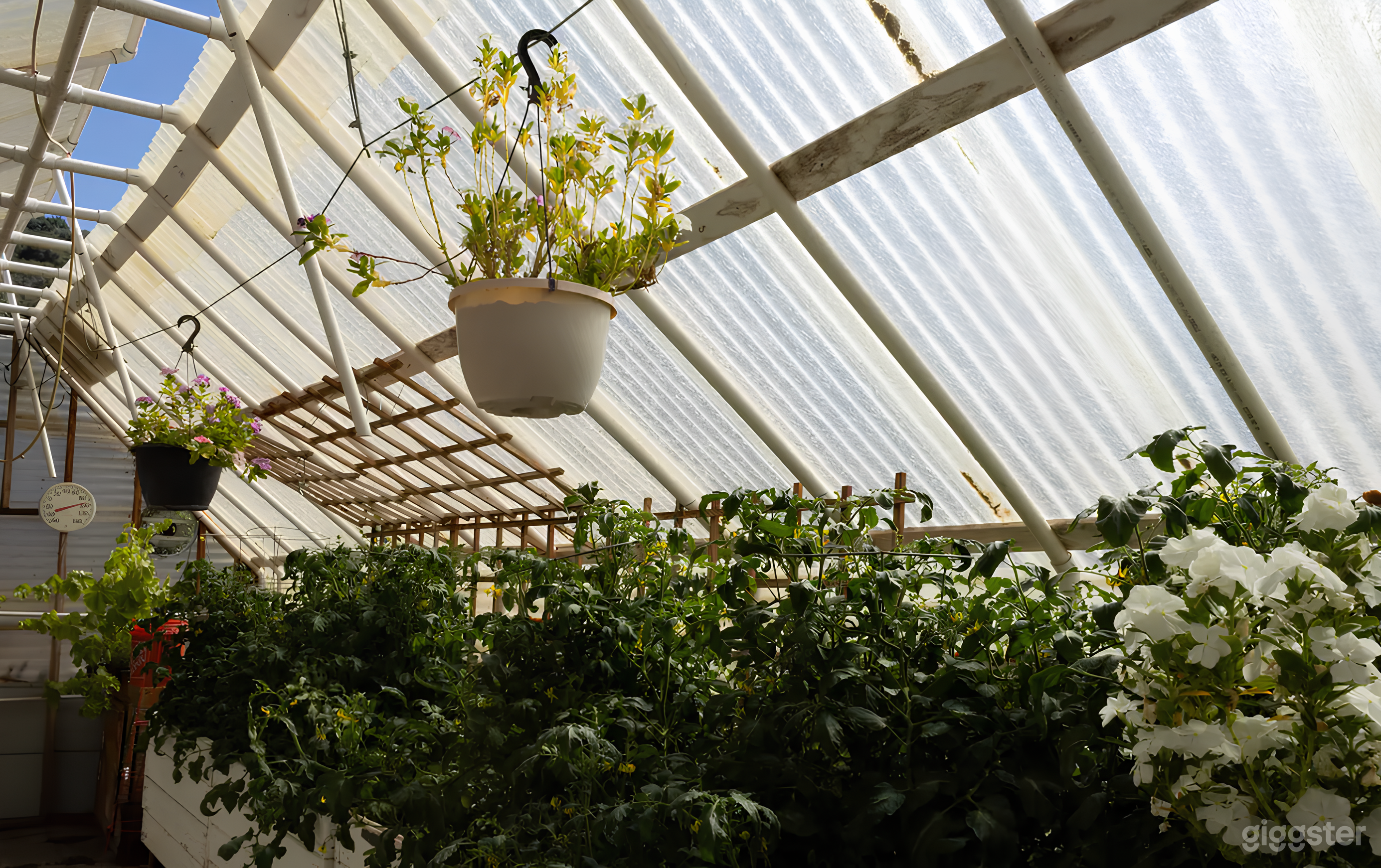 Gorgeous Green House on 28-Acre Property near Forest  Photo 2