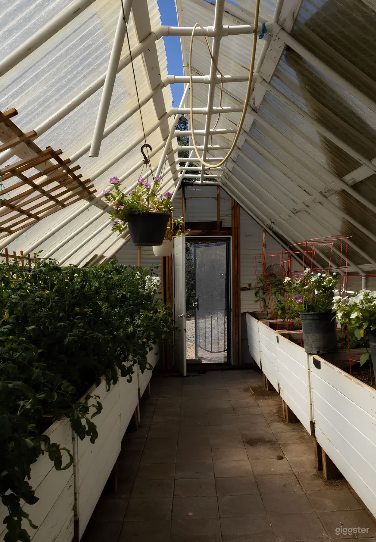 Gorgeous Green House on 28-Acre Property near Forest  Photo 1