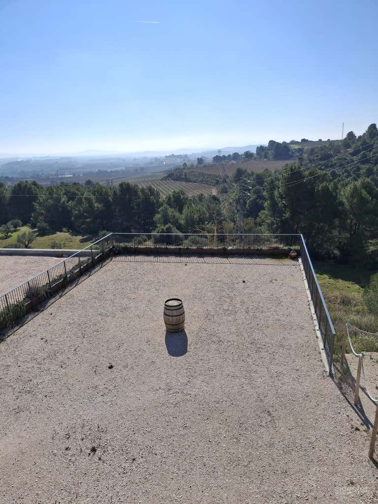  El mirador - las mejores vistas panorámicas de los viñedos 