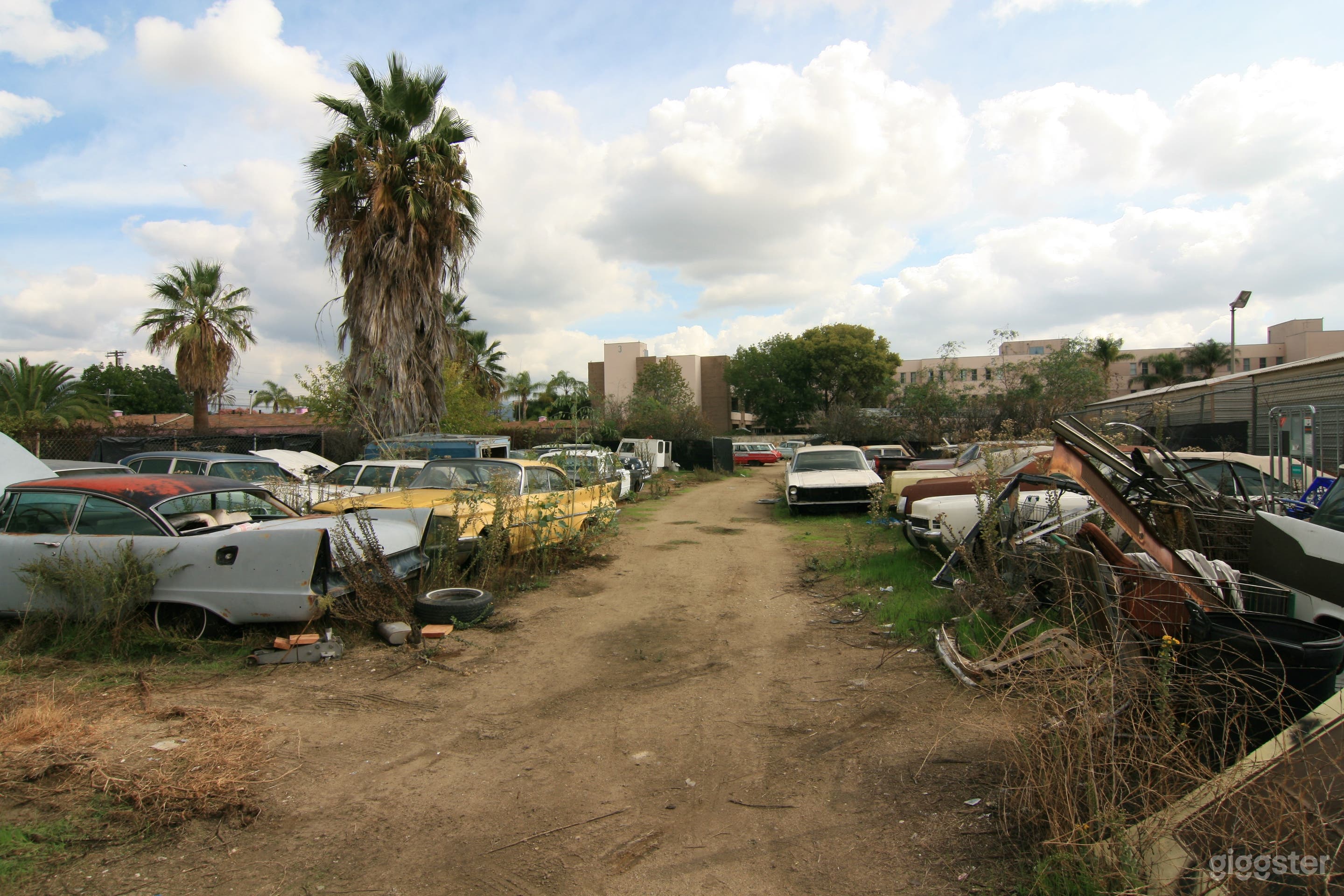 Pink Junk Yard Photo 1