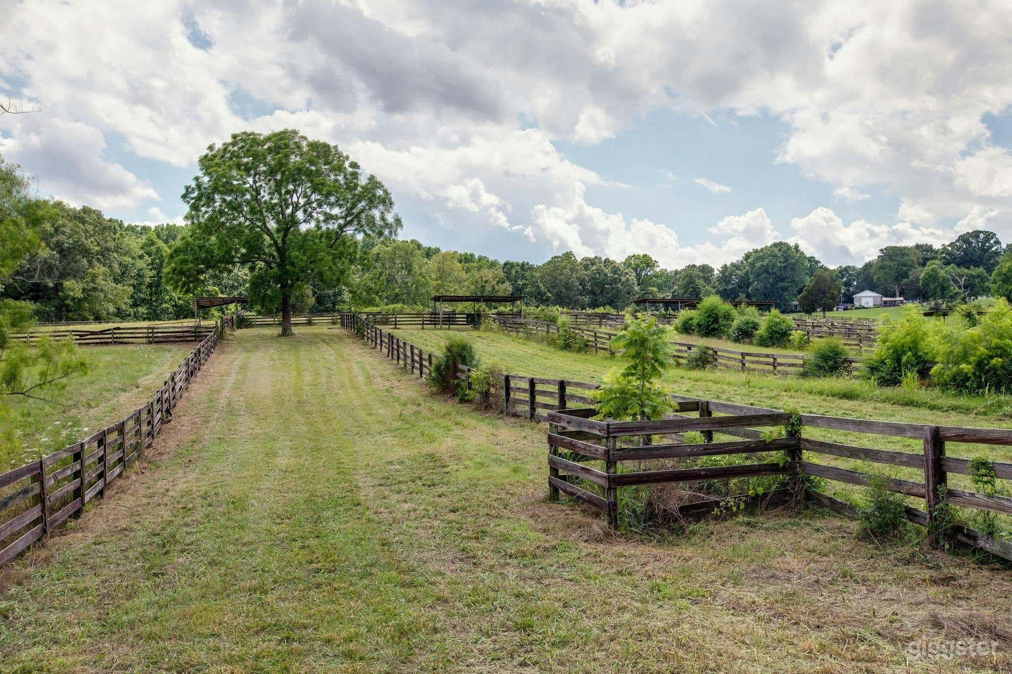 52 Acre Farm- Horse Ranch along Harpeth River Photo 2