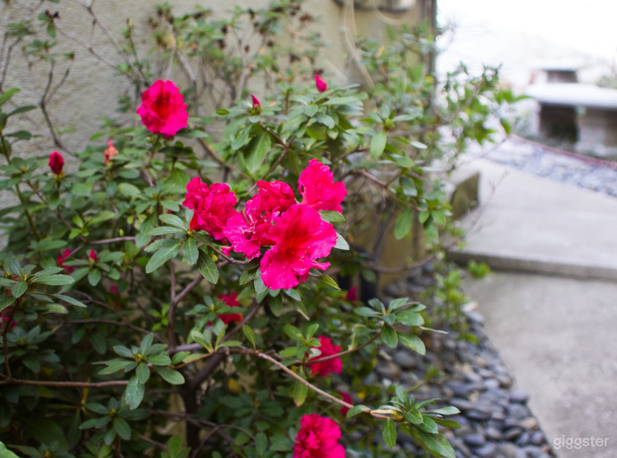 Quaint Art Studio Photo 4