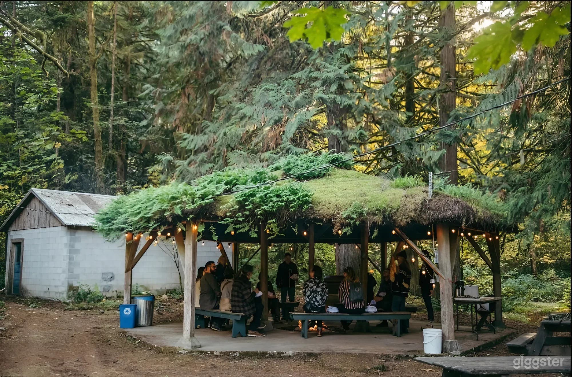 Charming Fern-Covered Gazebo with Firepit Photo 2