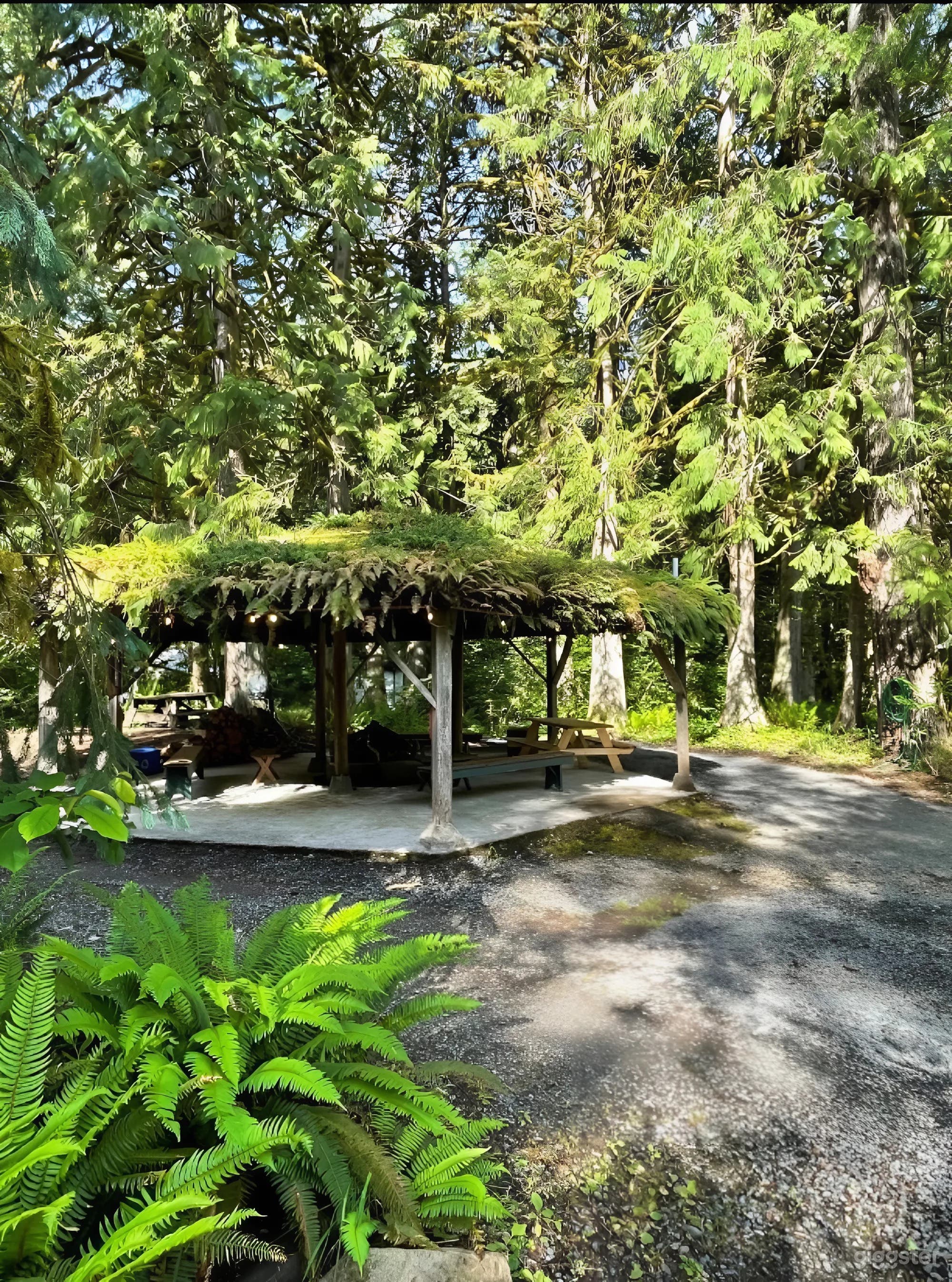 Charming Fern-Covered Gazebo with Firepit Photo 3