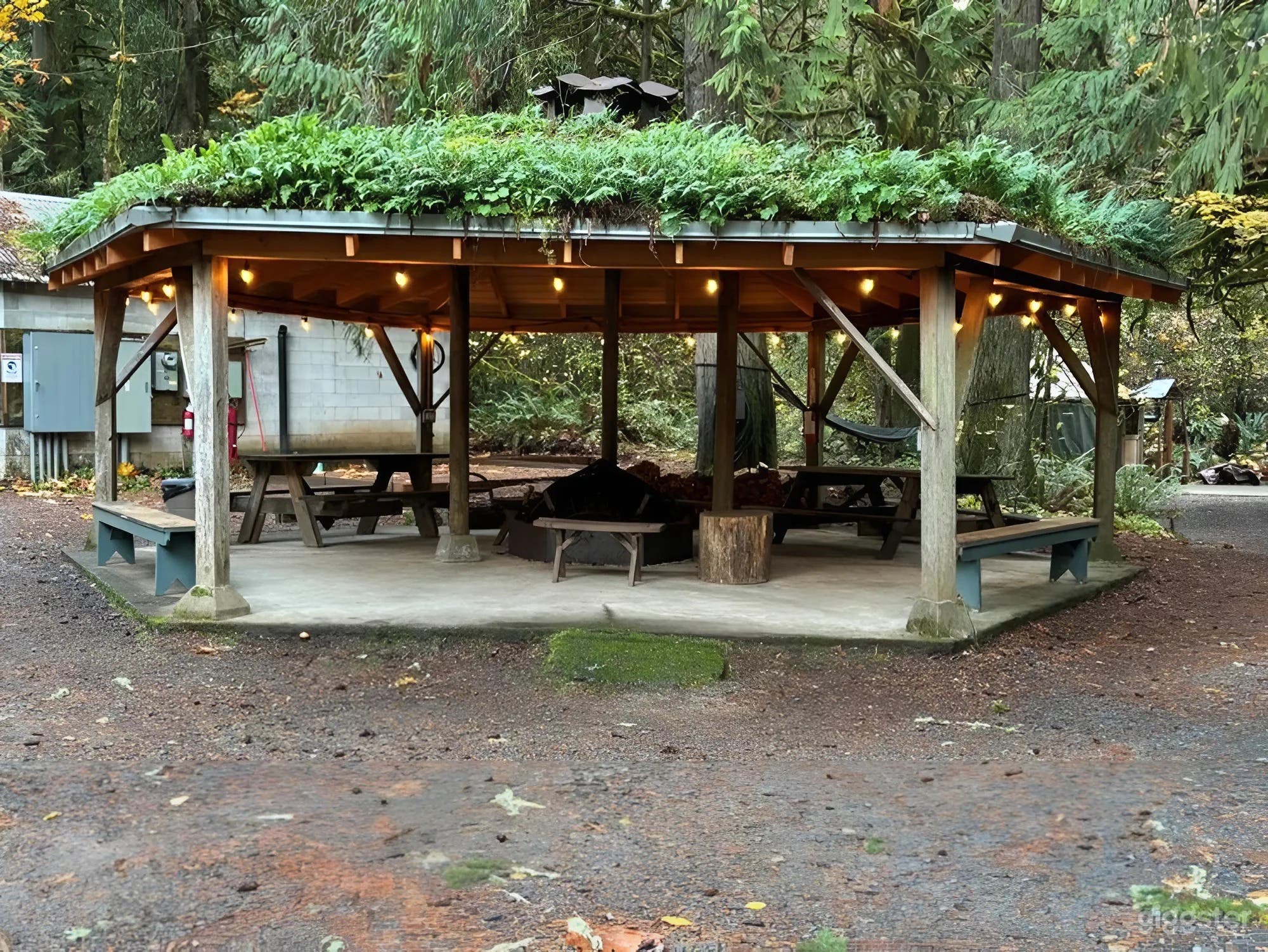 Charming Fern-Covered Gazebo with Firepit Photo 1