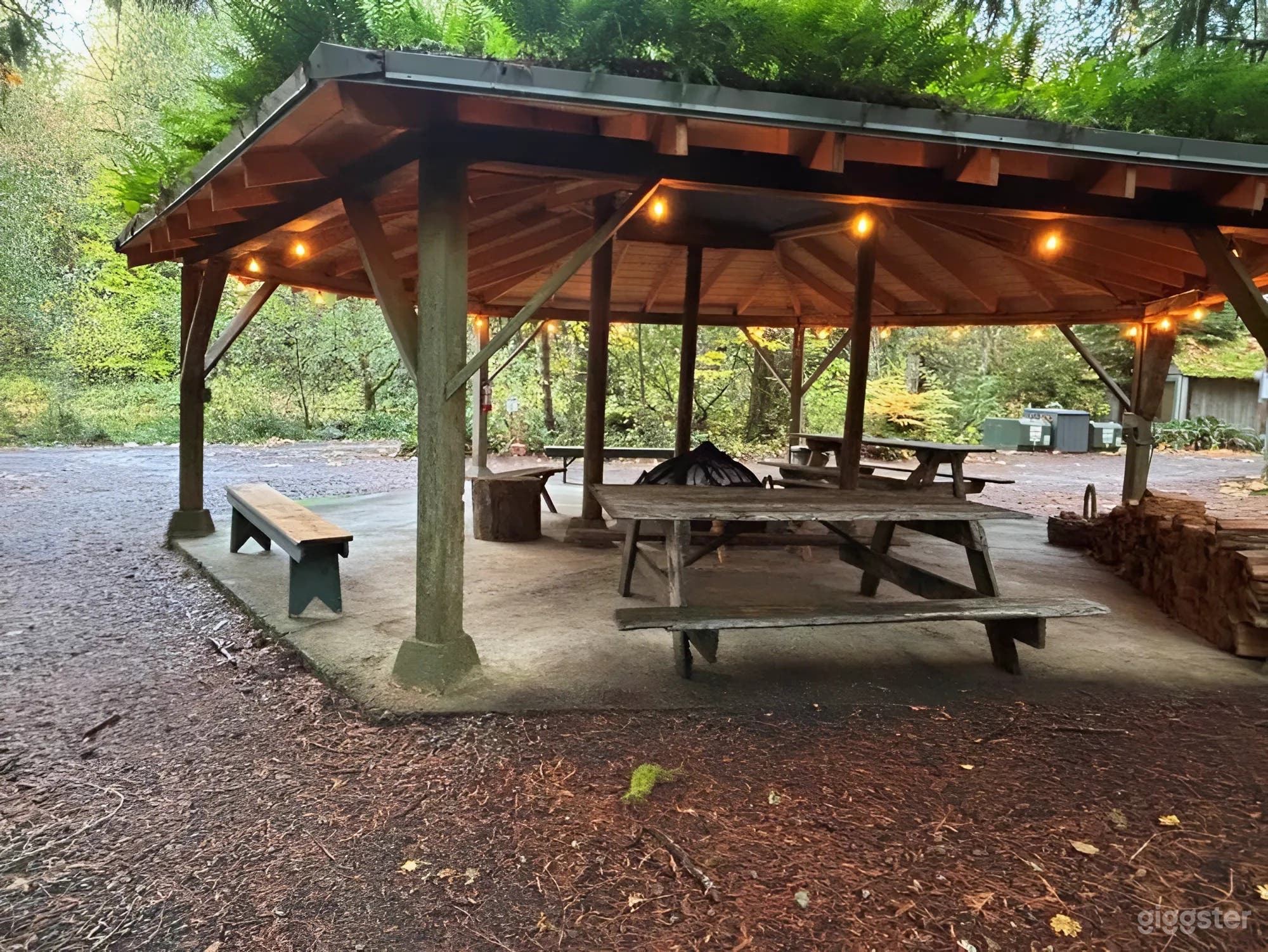 Charming Fern-Covered Gazebo with Firepit Photo 4