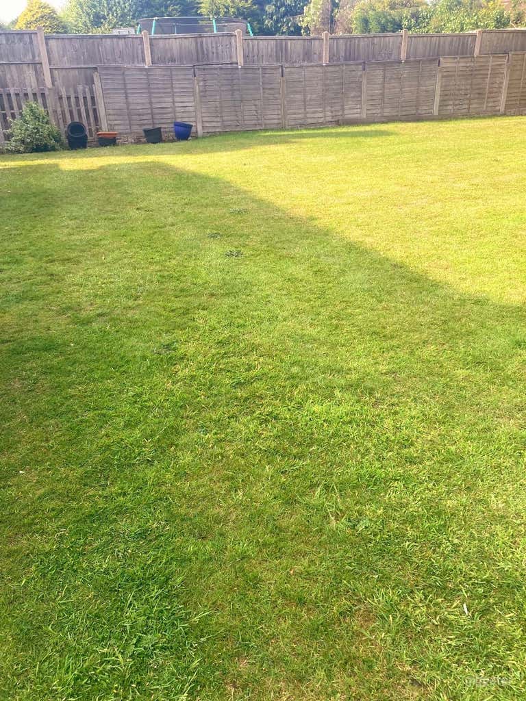  Green Space 