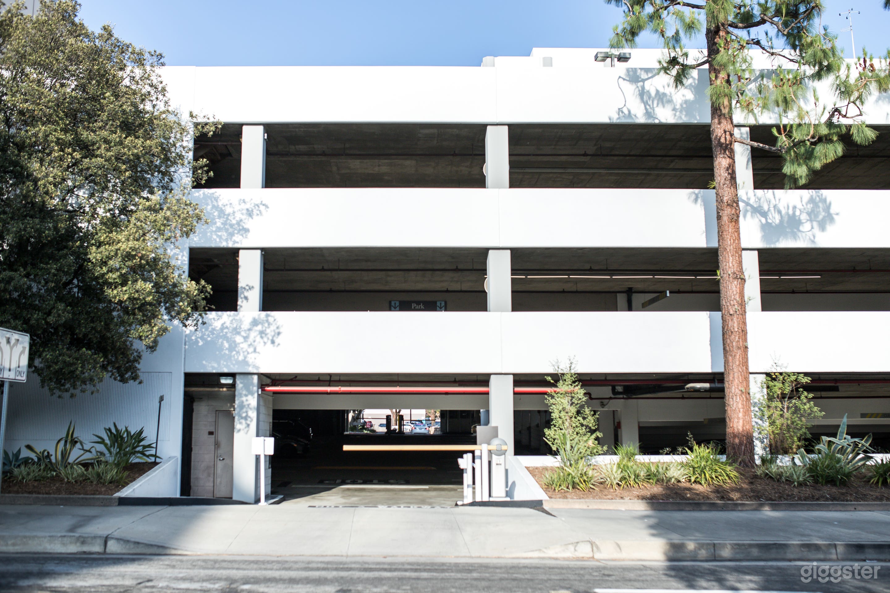 Nola 155 Garage Photo 2