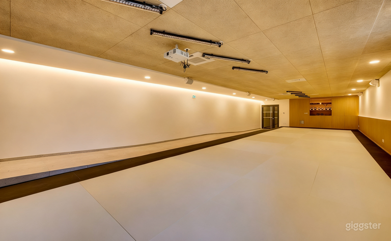  Minimalist wellness studio & zen dojo 