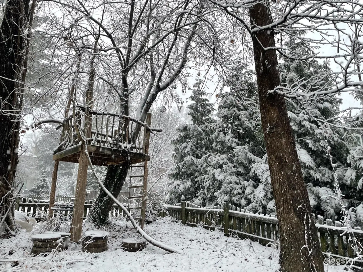 Charming Garden Backyard Photo 4