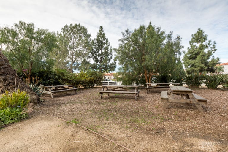  Victorian Ranch No.6 