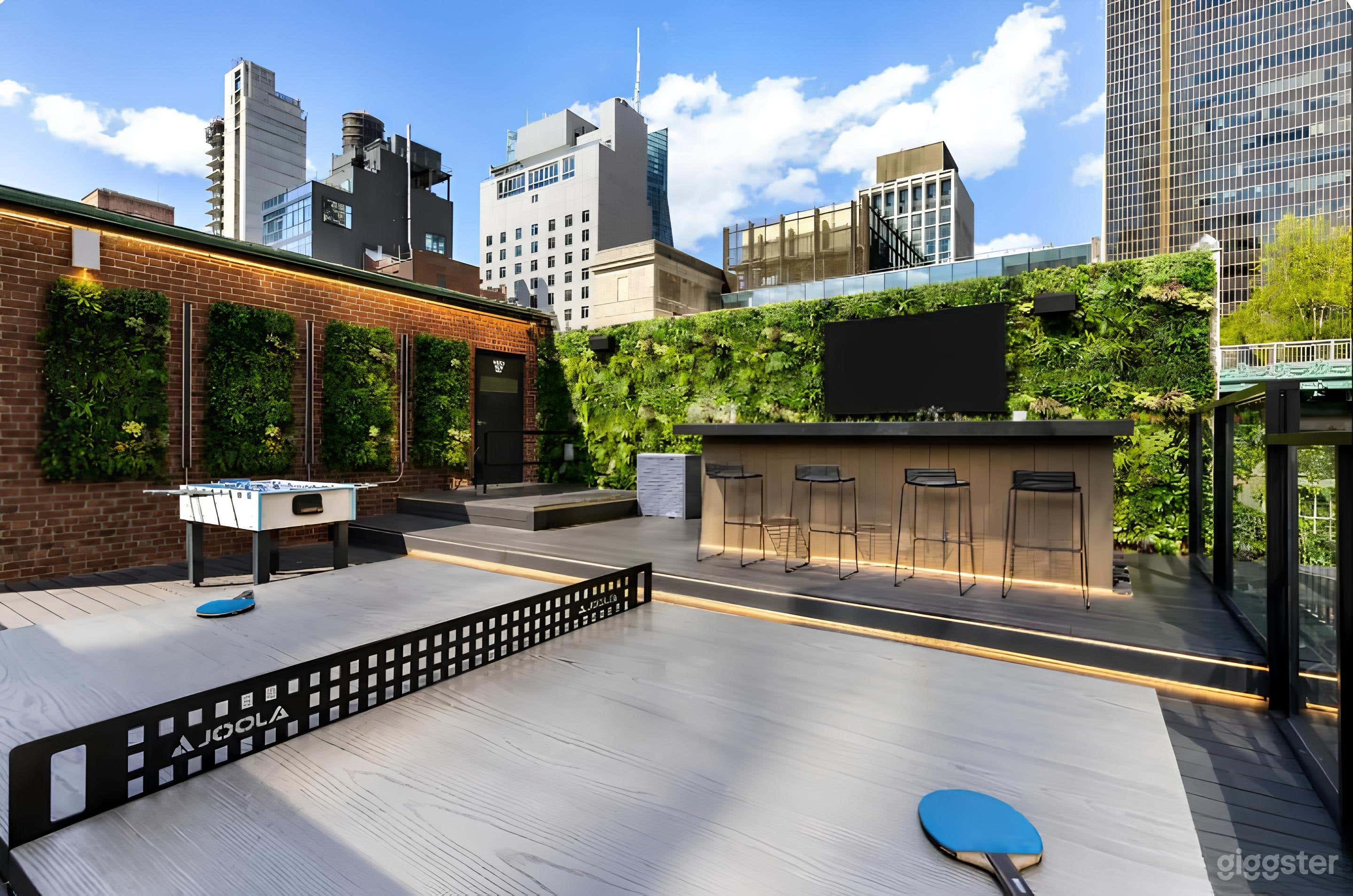 Amazing Midtown Rooftop Photo 1