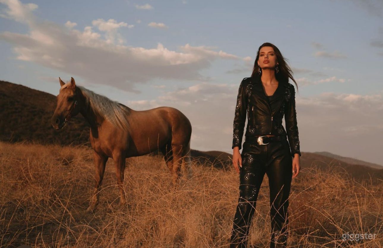 Double R Ranch  Photo 3