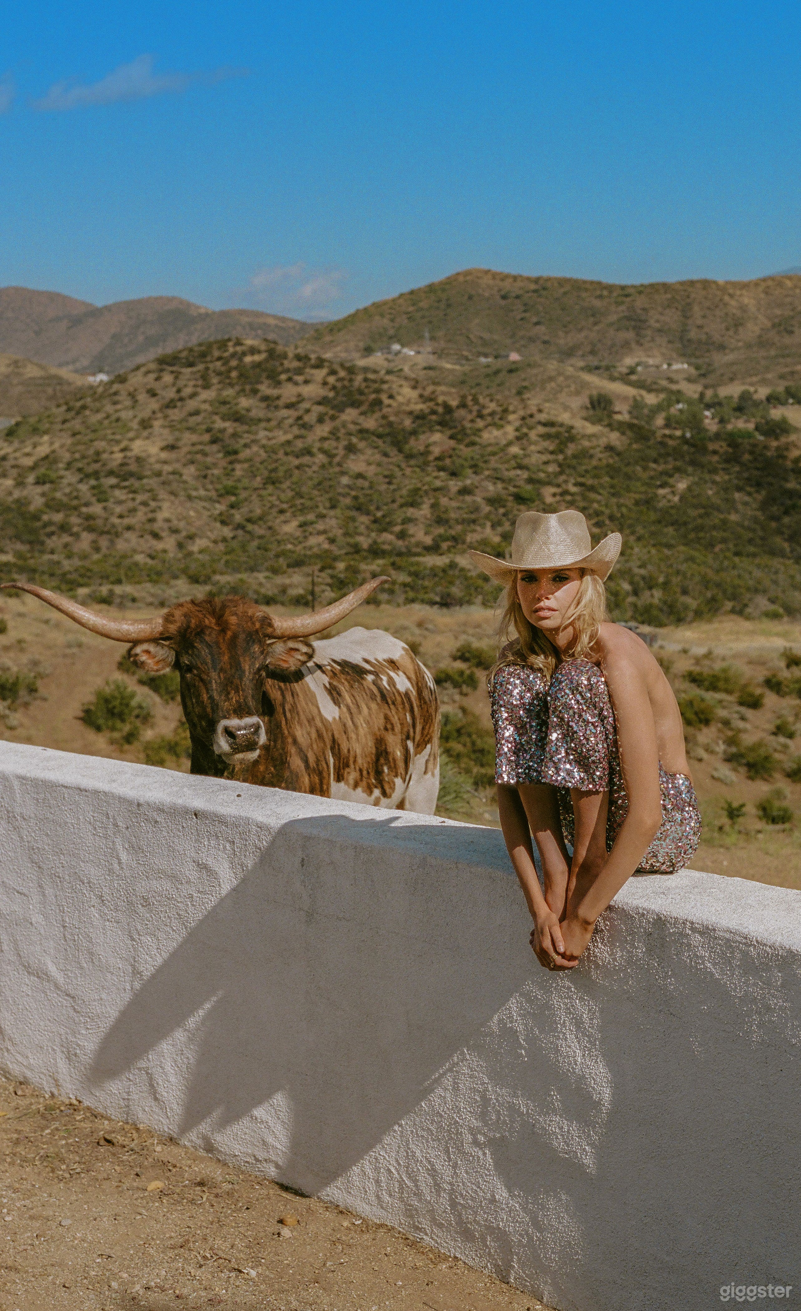 Texas Longhorns available. See add ons.