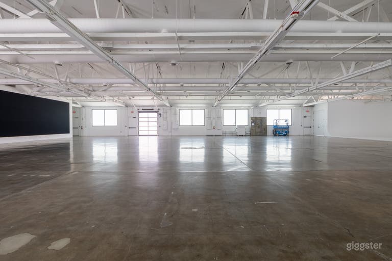  Maximum Studios | Full Buyout 