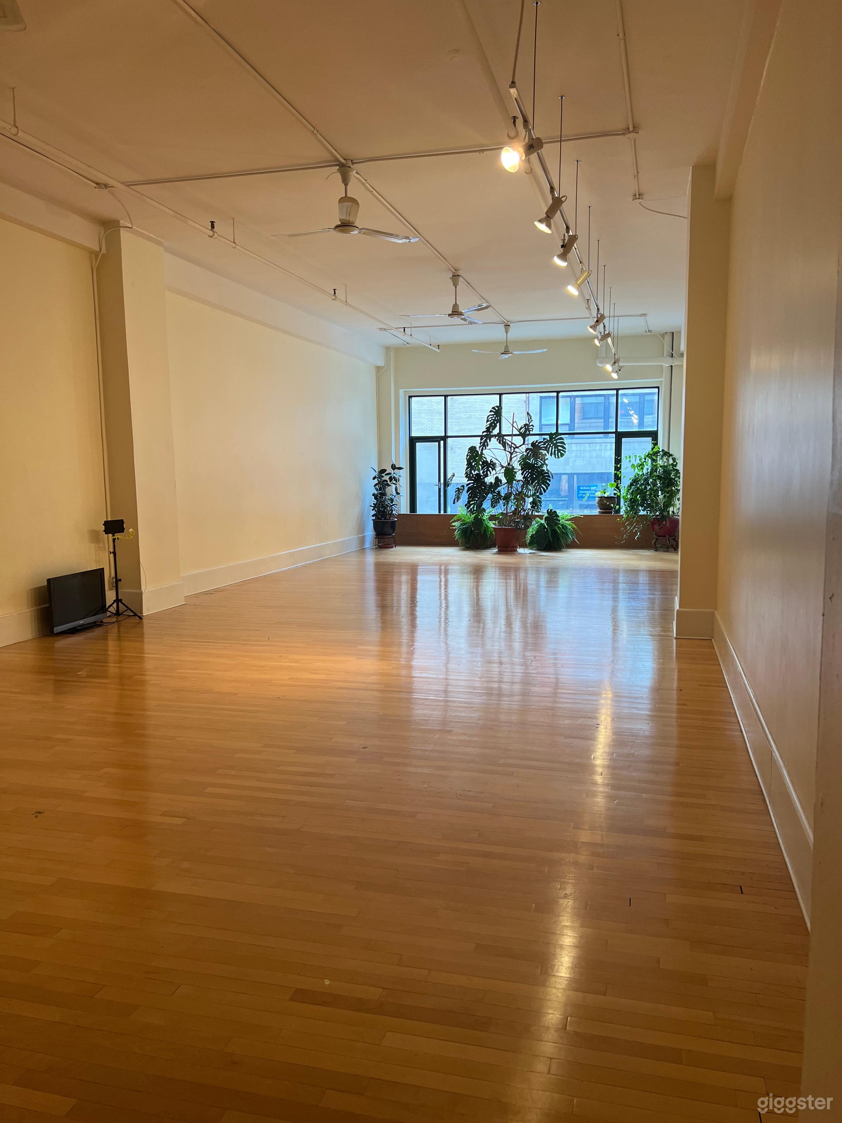 1000 SQFT Intimate Studio in Montreal Photo 2