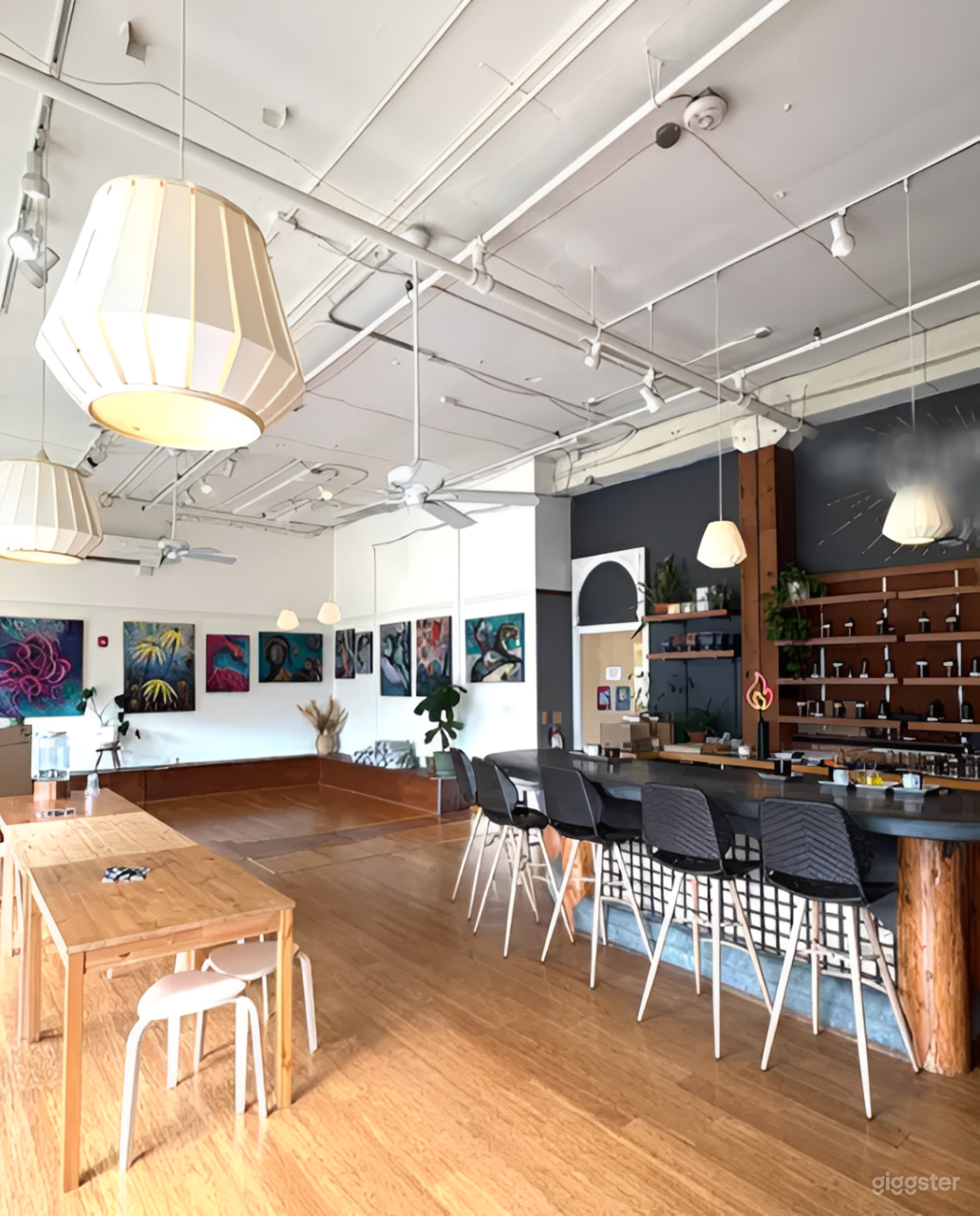 Sun Filled Eastside Gem Photo 3