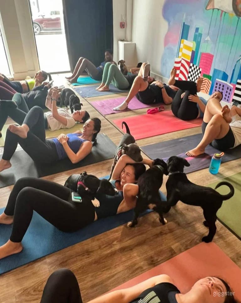  Well-lit, Clean, Open Space Yoga & Fitness Studio 