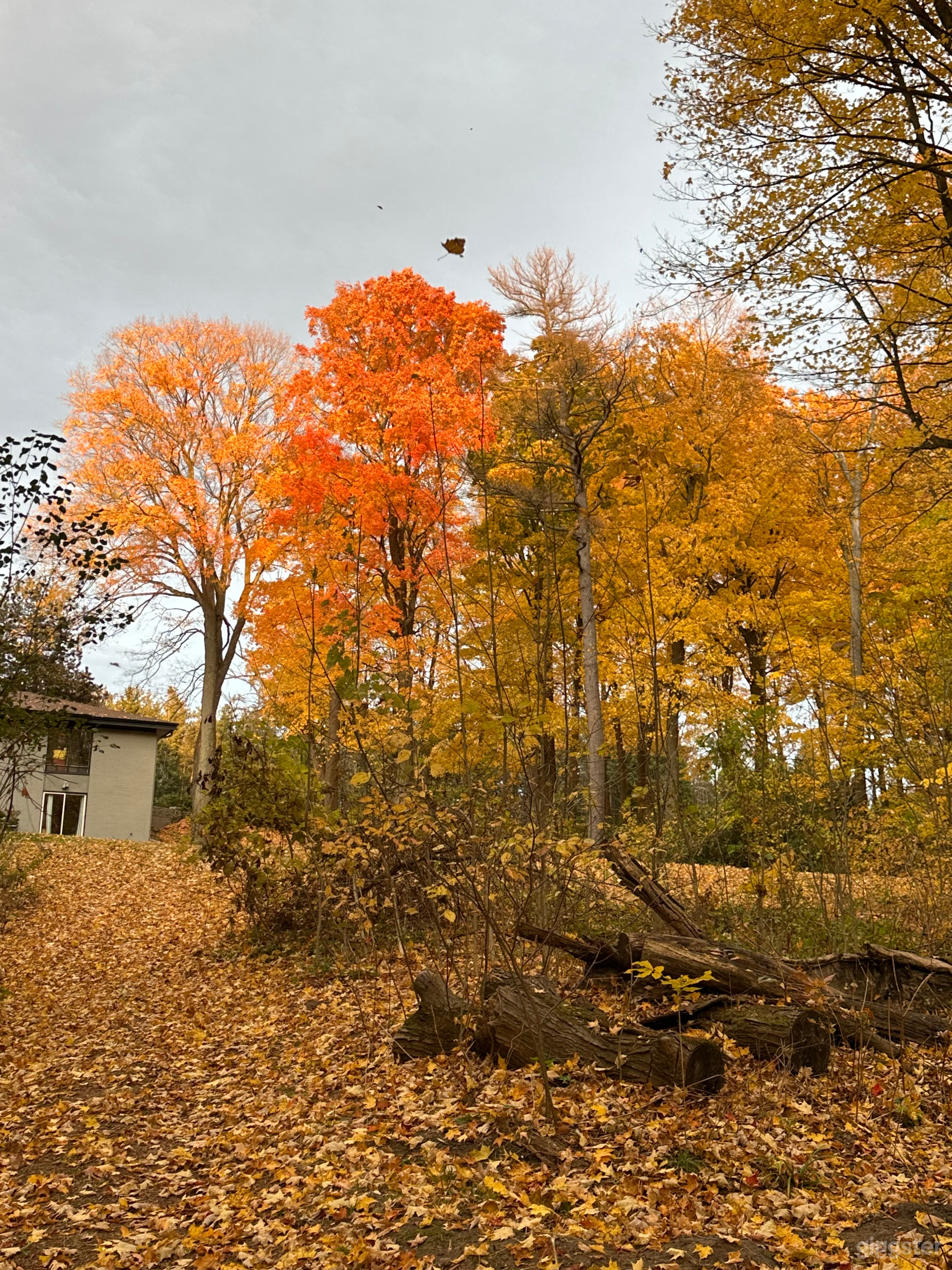 Hollywood Hills-Type Mid-Century Modern Sprawling Ranch Photo 3