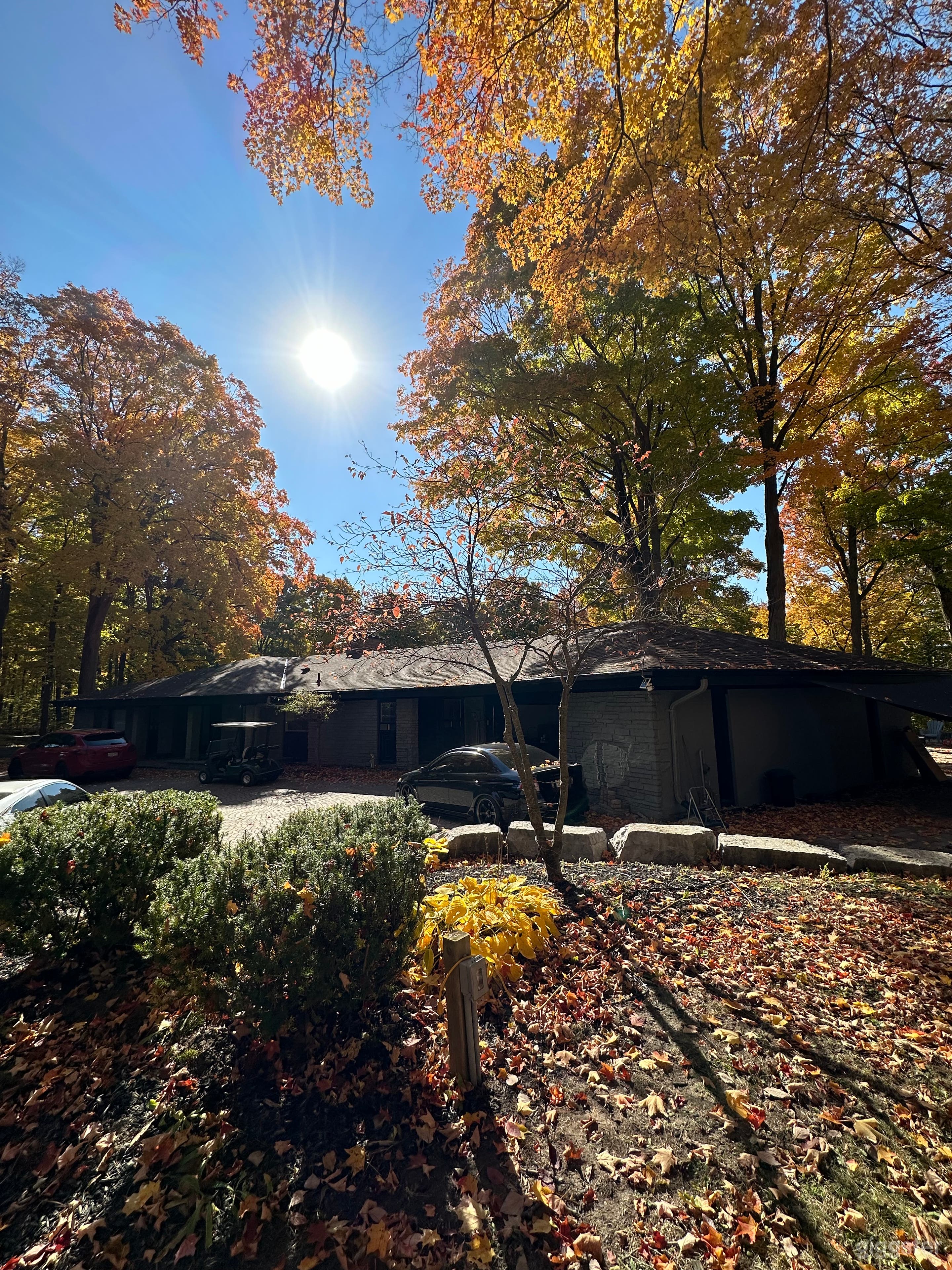 Hollywood Hills-Type Mid-Century Modern Sprawling Ranch Photo 2