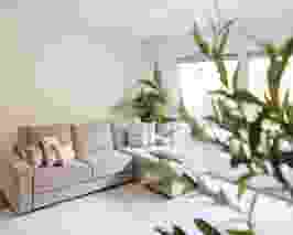  Natural + design-focused house in Richmond 