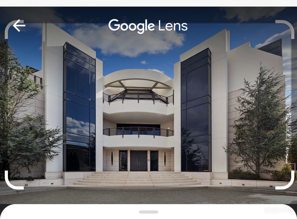 Biggest one of kind mansion in Brooklyn ny Photo 4