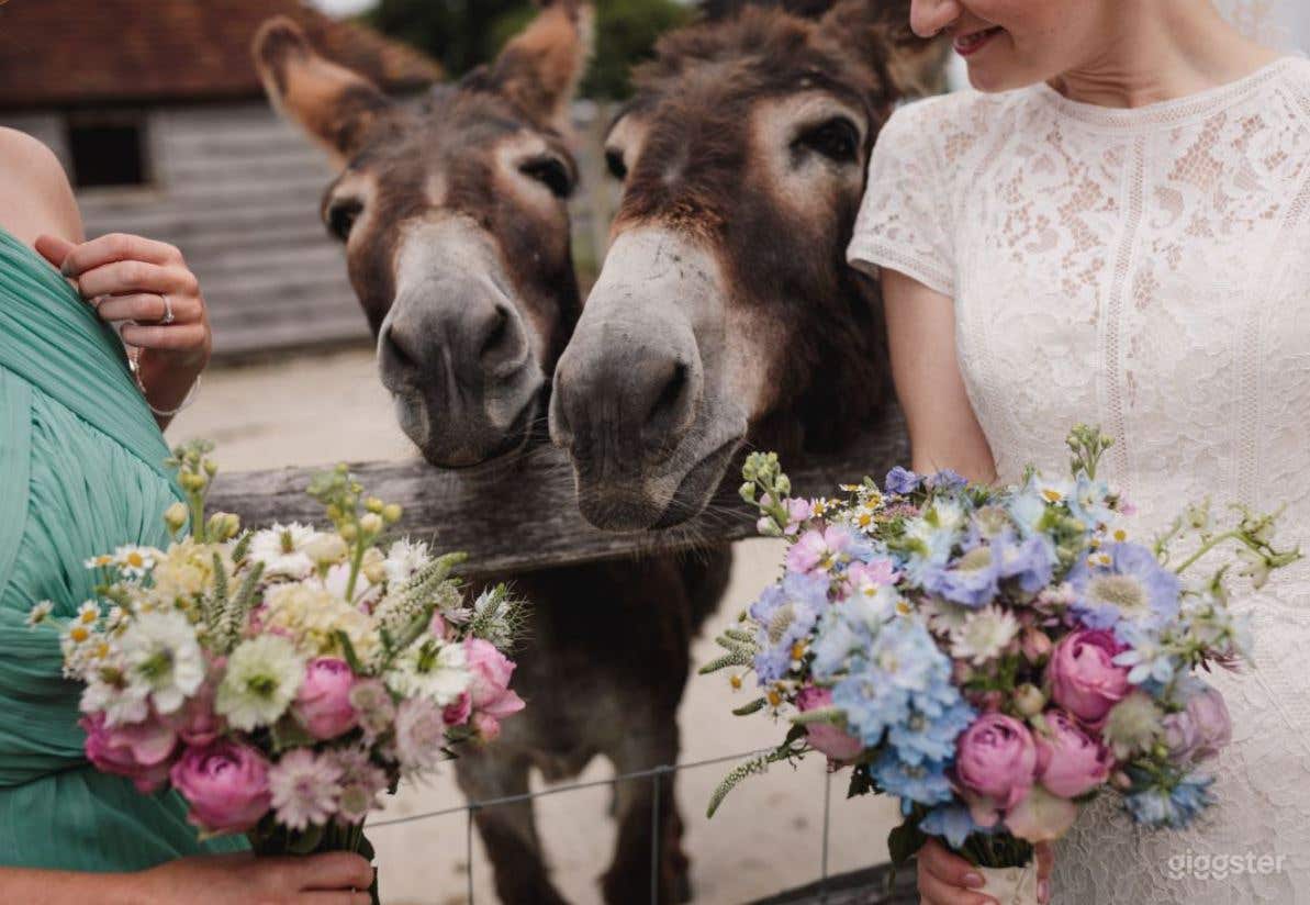 Perfect Wedding Venue in West Sussex Photo 4