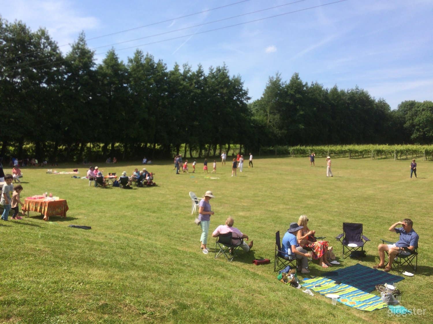 VINEYARD FOR HIRE - Events | Production | Meetings Photo 3