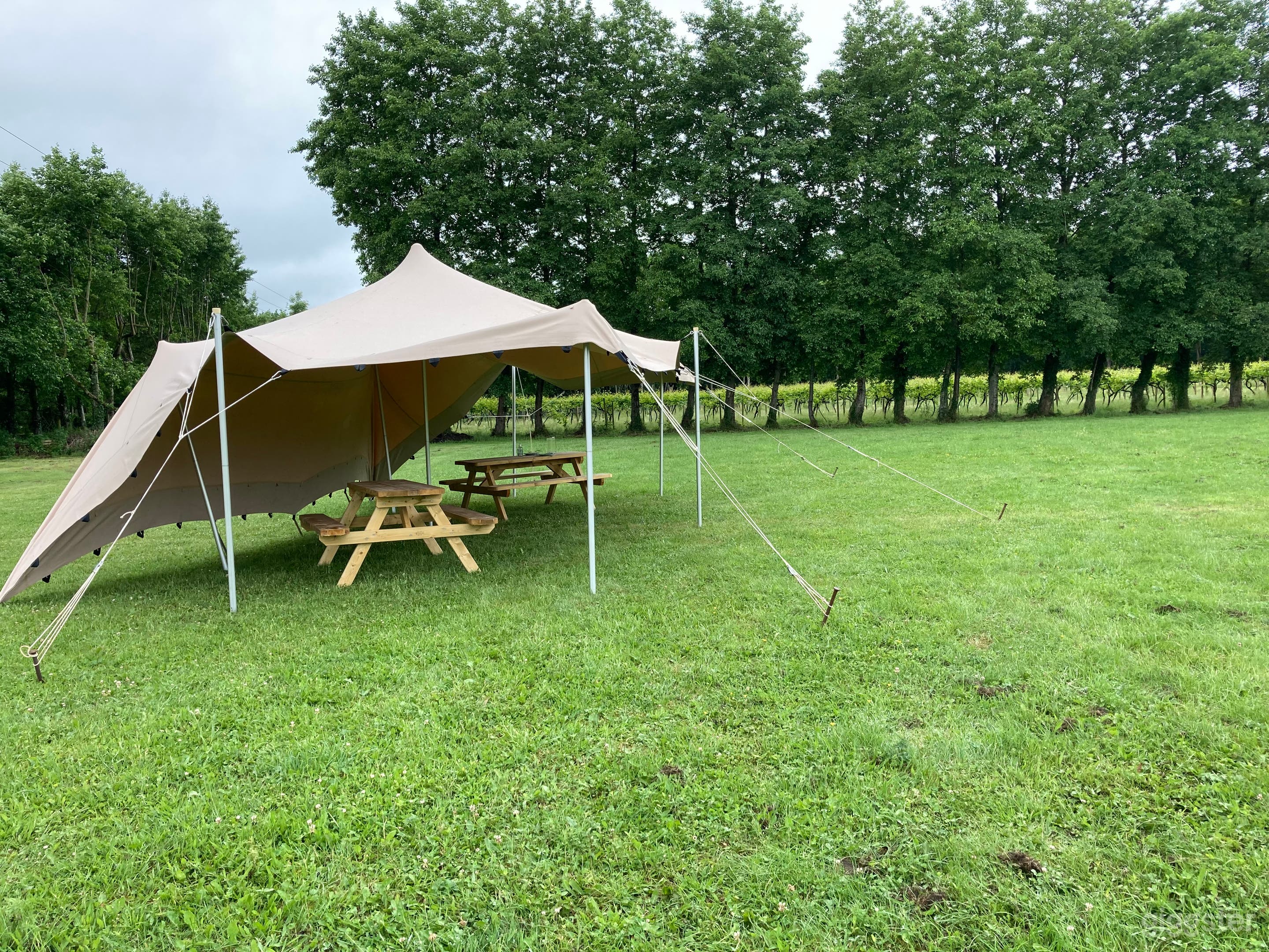 VINEYARD FOR HIRE - Events | Production | Meetings Photo 4