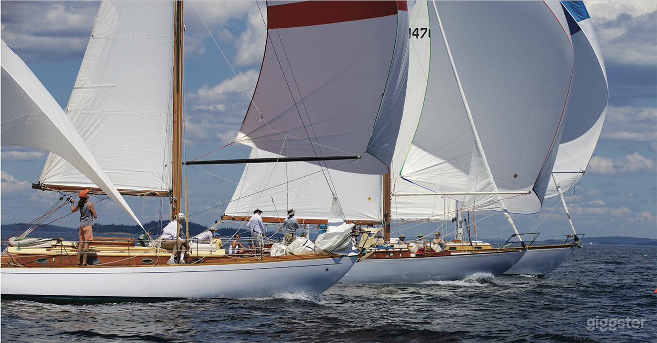 Truly Classic Yacht - Beauty and Performance    Photo 1