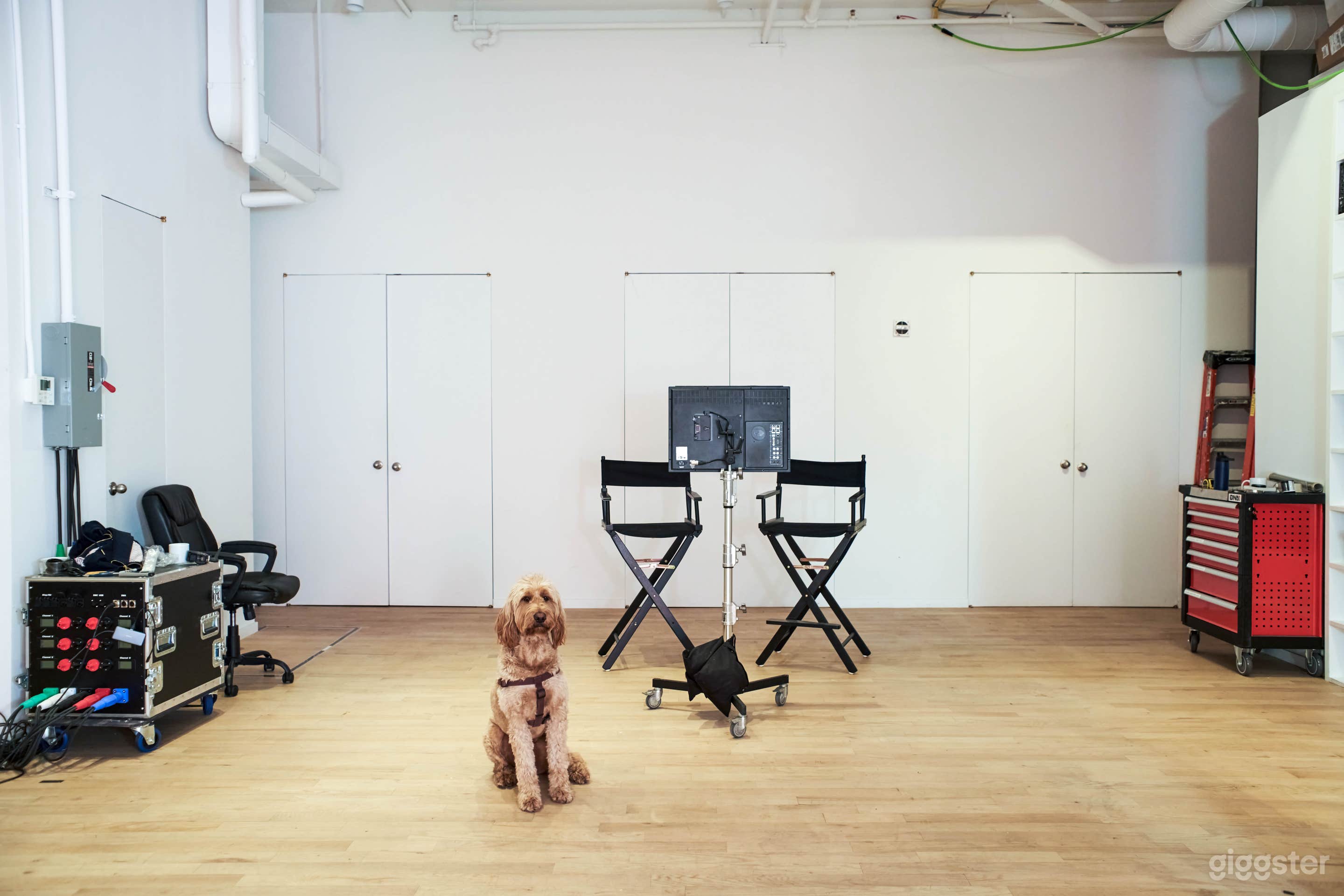 Madison-Square Studio: Modern Ground Floor Gem! Photo 1