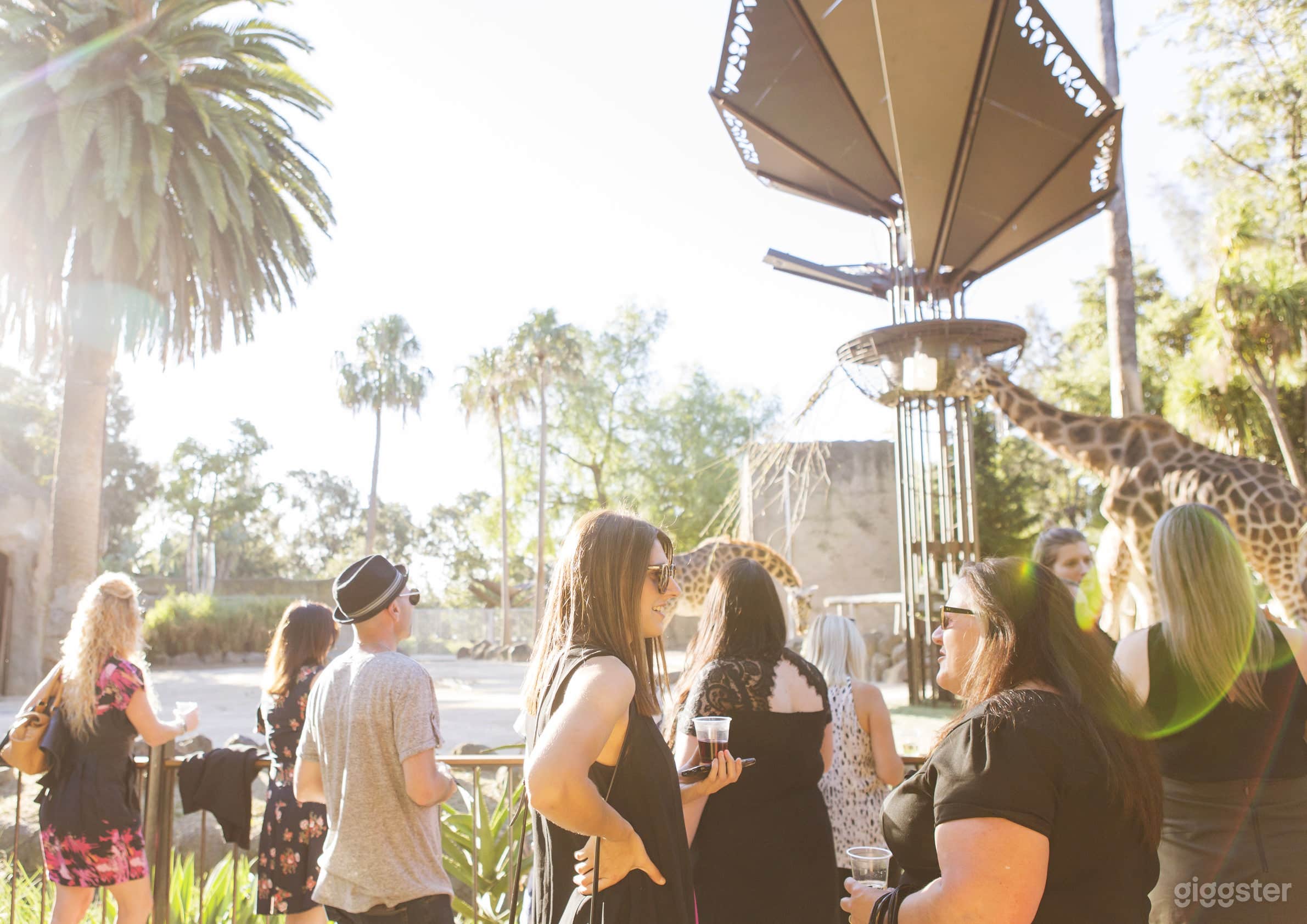 Melbourne Zoo Events Photo 4