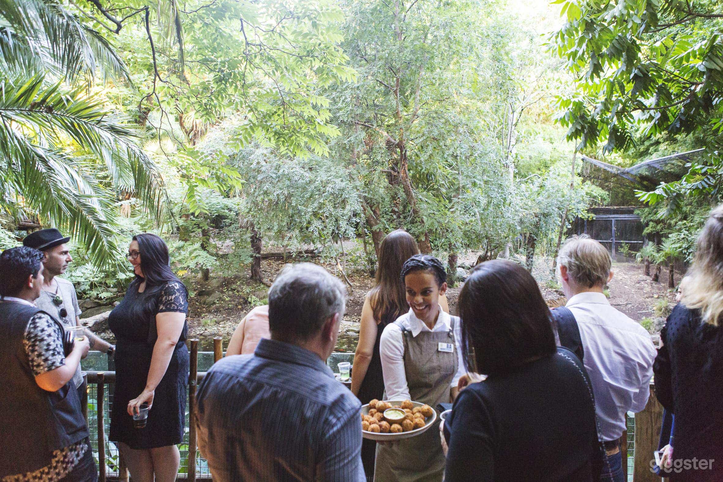 Melbourne Zoo Events Photo 2